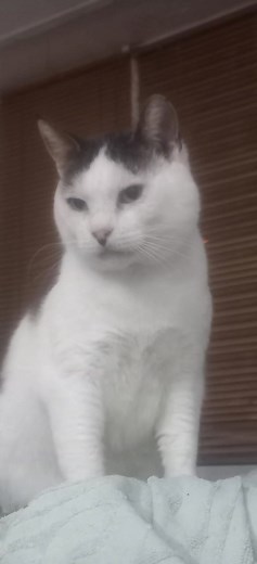 Molda Molda on Reels