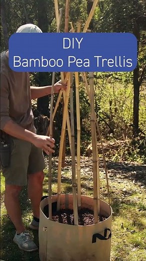 DIY Bamboo Trellis