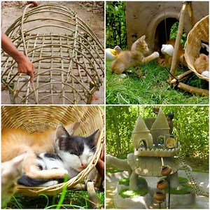 17K views · 257 reactions | This skilled man builds a tortoise-themed play area for tiny kittens  | MetDaan Animals | Facebook