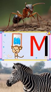 เขียน A-Z การ์ตูนน่ารักๆ #เขียนabc #เขียนอักษรภาษาอังกฤษ #เขียนเอบีซี #indysongkids #ตัวอักษรภาษาอังกฤษ | Indysong Kids เพลงเด็ก นิทาน การ์ตูน