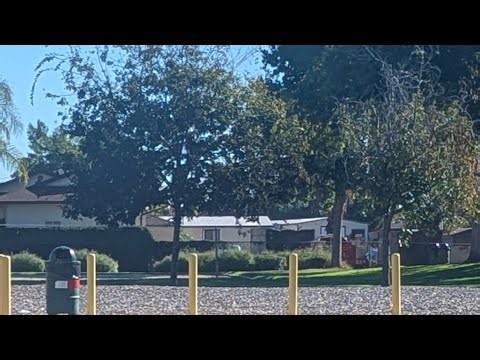 In Cognito Metal Detecting is live!