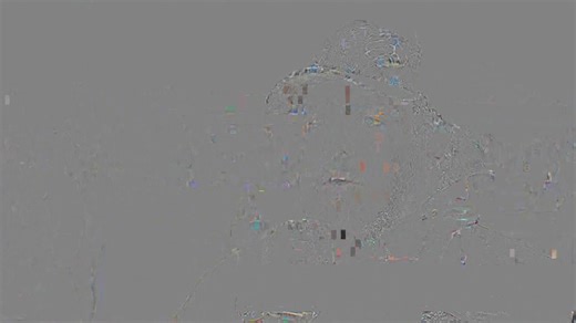 Hundreds marched through Tamworth's CBD today - in a show of Indigenous pride. This year marks a half century of the NAIDOC tradition - acknowledging the past - but looking to the future. #7NewsRegional #7NewsNewEngland | 7NEWS New England