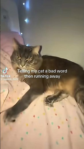 why did she turn into mommy long legs #notmine #repost #tiktok #fypシ #viral