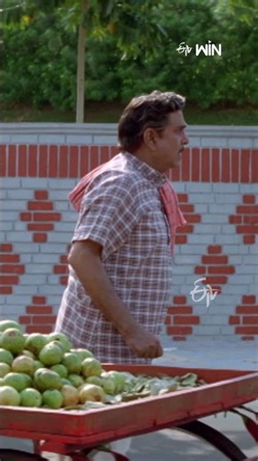 #shorts - Best scene from Daddy Daddy #AkkineniNageswaraRao #Jayasudha #Harish #Raasi #Ali #etv