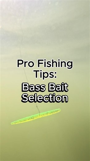 How Pro Anglers Catch More Fish 🎣#fishing