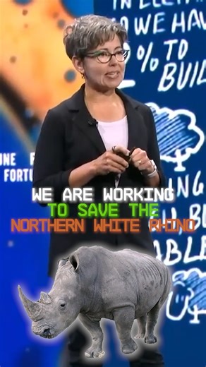 🦏 Only two Northern White Rhinos remain, both female, so natural reproduction is impossible. But it’s not too late. We have created embryos from their eggs and stored sperm, now transferred into Southern White Rhinos as surrogates. Hope lives. 🤯 | Colossal Biosciences