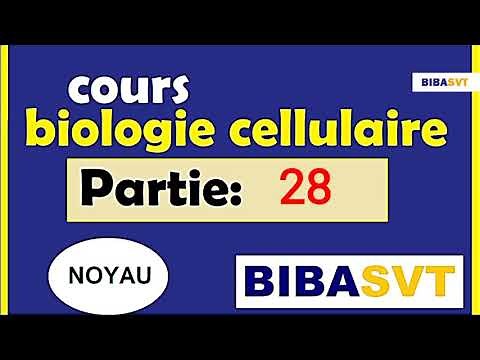 Cell Biology Ep 28: The Expression of Genetic Information