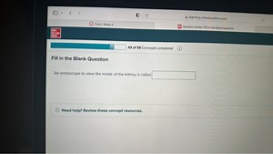 What is the name of the endoscope used to view the inside of th... | Filo