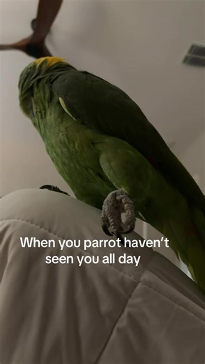 Dealing with Anger: Understanding Its Impact