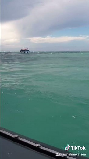 Life at Sea - Difference between Waves and Swell