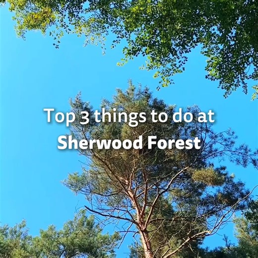 Is Sherwood Forest your go-to village? 🤩 | Center Parcs UK
