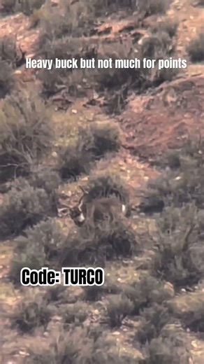 Code: TURCO to save on ‪@ollinco‬ digiscoping products & extra entries in the hunt giveaway!