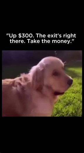 How to tell if a progressive slot is about to hit?