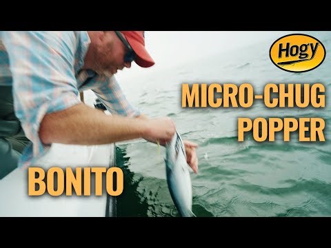 How to Fish a Chug Popper for Bonito | Hogy How-To