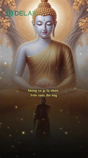 Giữ tâm vững chãi trong thiền