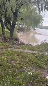 C'est ce qu'on appelle la transgression océanique ou marine. Cela se produit à la suite d'inondations provenant de la mer qui recouvrent les terres exposées. La partie opposée de celle-ci est appelée régression océanique ou marine. | Oxy Oxygène