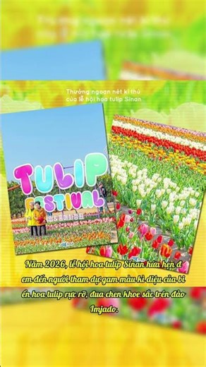 Thưởng ngoạn nét kì thú của lễ hội hoa tulip Sinan #shorts