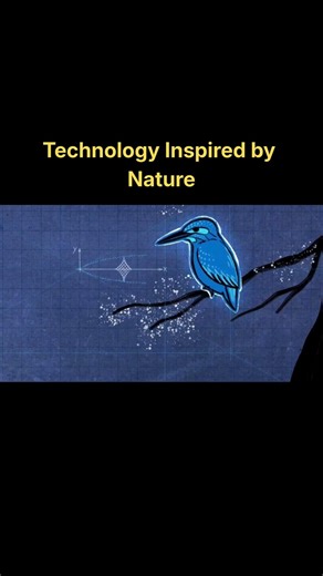 Japan Copied Nature to Fix Its Fastest Train 🐦🚄 #shorts #japan #nature #bullettrain #technology