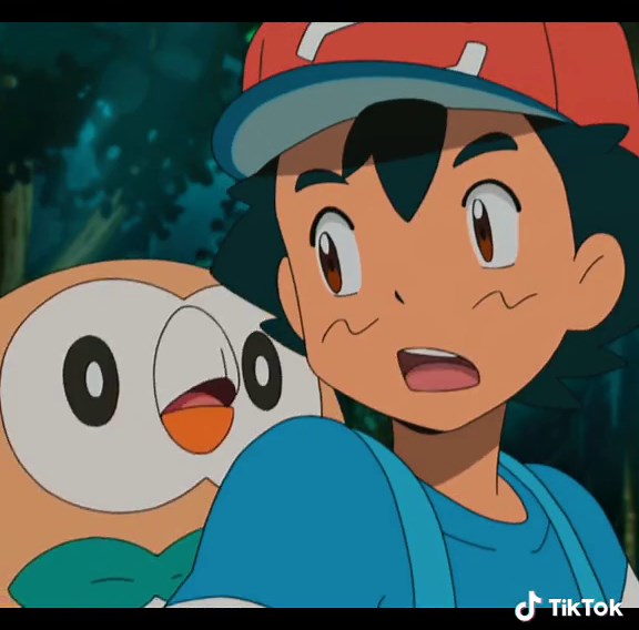 Rowlet: A Evolução Perfeita do Pokémon