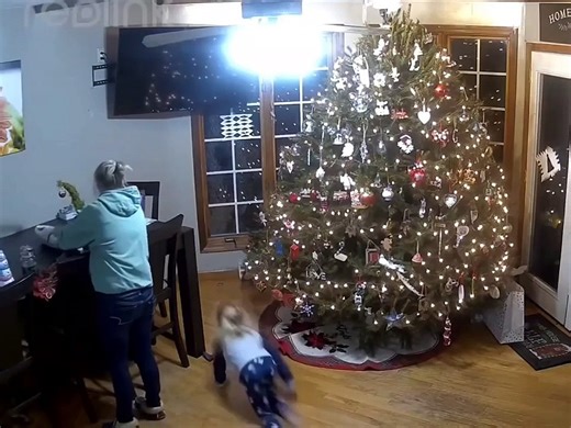 Cat destroys a Christmas tree and three souls.