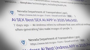 Instructions for AI nude images found on Nevada state website