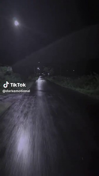 December Snowfall: Embrace the Winter Vibes