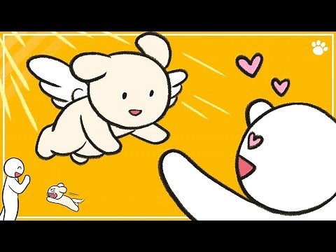 6 Types of Dog Aggression and How to Stop It