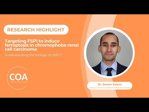 Research Highlight | Targeting FSP1 to induce ferroptosis in chromophobe renal cell carcinoma