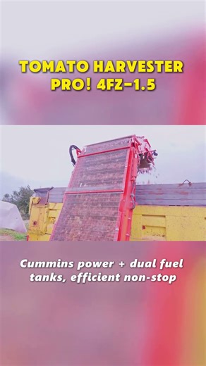 Revolutionizing Tomato Harvesting: Introducing China’s First Self-Propelled Tomato Harvester