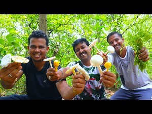 Jangal fresh natural edible mushroom picking and cooking | village cooking vlog