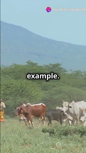 Difference between transhumance and nomadic pastoralism. #upscexam #geography