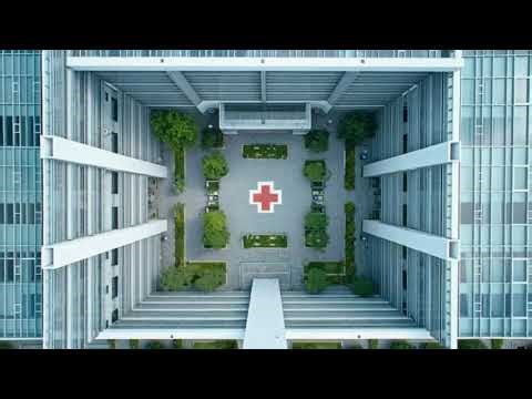 Social Institutions in Islamic Civilization | Structure, Function & Ethical Impact