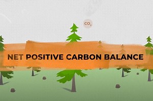 Visit our updated website for the results from our latest Annual Sustainability Report. ➡️ https://sustainability.westernforest.com/ We're proud to champion the most comprehensive forest practices in the world to keep our forests healthy, support strong communities and provide the most sustainable building materials on the planet. ☀️ Report highlights: ✅ 747,959 hectares conserved within our tenures - the equivalent of 1.4 million football fields. ✅ 29 active agreements with First Nations or Fir