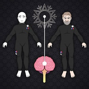 Wim Hof Method ICE Friday! Start your journey today with the Wim Hof course 10 week online Classic. A mouth full, and even fuller of content and value. 50% off if you act today! Enter the discount code BLACKFRIDAY50 at checkout. Available till 28th of November 2018 Start implementing the scientific validated Wim Hof method! Recently a new article has been published about how the WHM could affect the brain (and body). This study showed that by voluntary action one can gain control over key compon