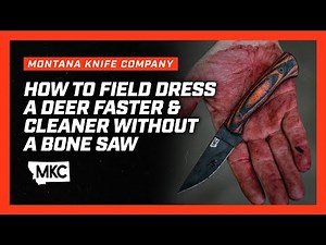 How to Field Dress a Deer Faster & Cleaner Without a Bone Saw
