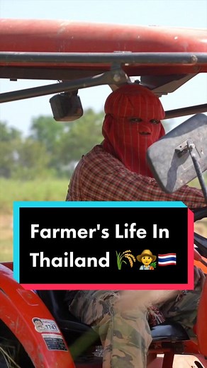 Countryside and Farmer's Life in Thailand 🌾👨‍🌾🇹🇭