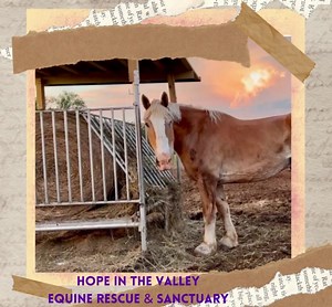 3K views · 41 reactions | HAY, Can you BALE a buddy out? Hay is not...