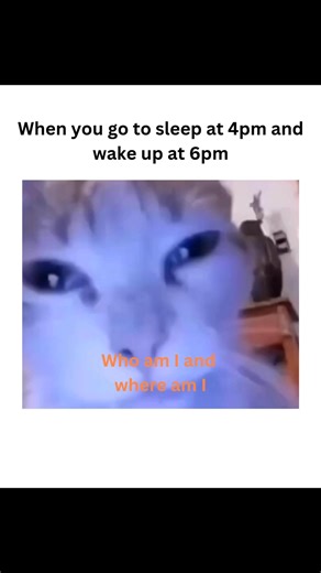 Which planet am I on | Anxiety