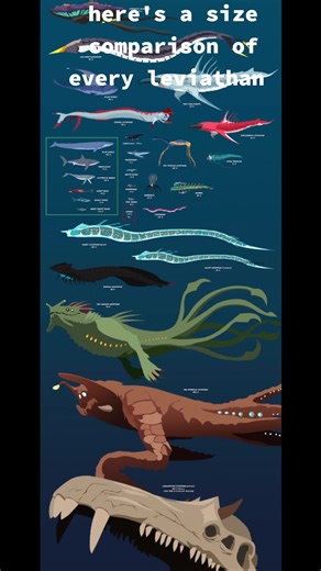 Comparative Sizes of Leviathans