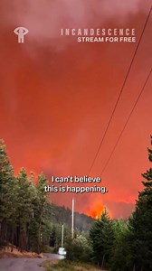 Forests burn—but can also grow back stronger. Find out how in the mesmerizing new film from Nova Ami & Velcrow Ripper. | NFB | Facebook