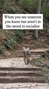 🤣 | Quotes and Sayings