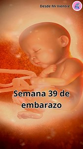 Semana 39 de embarazo. | Desde mi Vientre