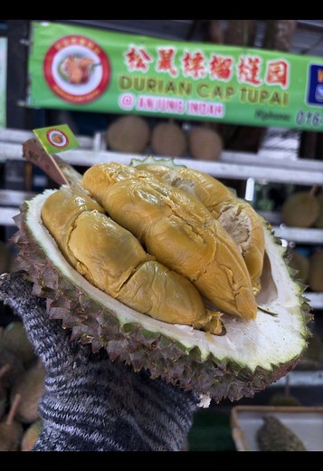 Unboxing D214 Tupai King Durian Experience