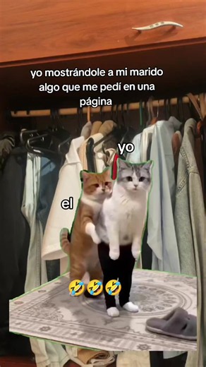 Mostrarle a mi marido lo que pedí en una página - Sketch cómico