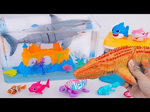 [Toy asmr] RC Mosasaurus & Zuru Robo Fish & Aquarium Playset& RC Shark ASMR Satisfying with Unboxing