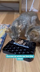 This is oddly satisfying😻🎧 Bundle Black Hawk Kitten wet dry food to save 10% until 31 March | Pet Circle
