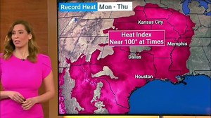 Stephanie Abrams TWC, Biography, Age, and Career