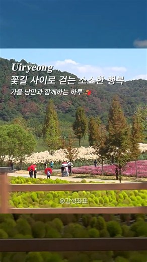 (저장•공유) 의령 호국의병의숲 친수공원 가을꽃 명소 | 가우라·팜파스·초록댑싸리 #경남여행 #가을여행 #부산근교 #감성좌표