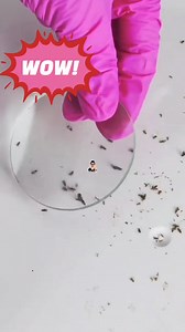 40K views · 122 reactions | ASMR  | Anisa Amalia Lestari | Facebook