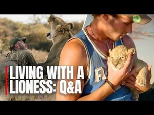 Q&A: Living with Sirga the Lioness